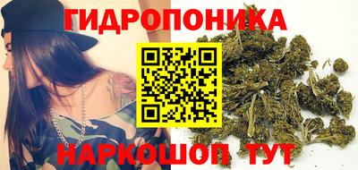 ГАЛЛЮЦИНОГЕННЫЕ ГРИБЫ Лесосибирск
