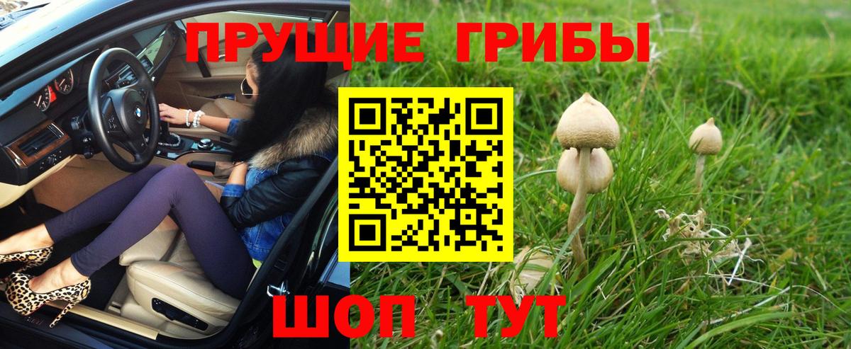 Галлюциногенные грибы ЛСД  Вход с VPN  Галлюциногенные грибы MAGIC MUSHROOMS  цена   Дзержинск 