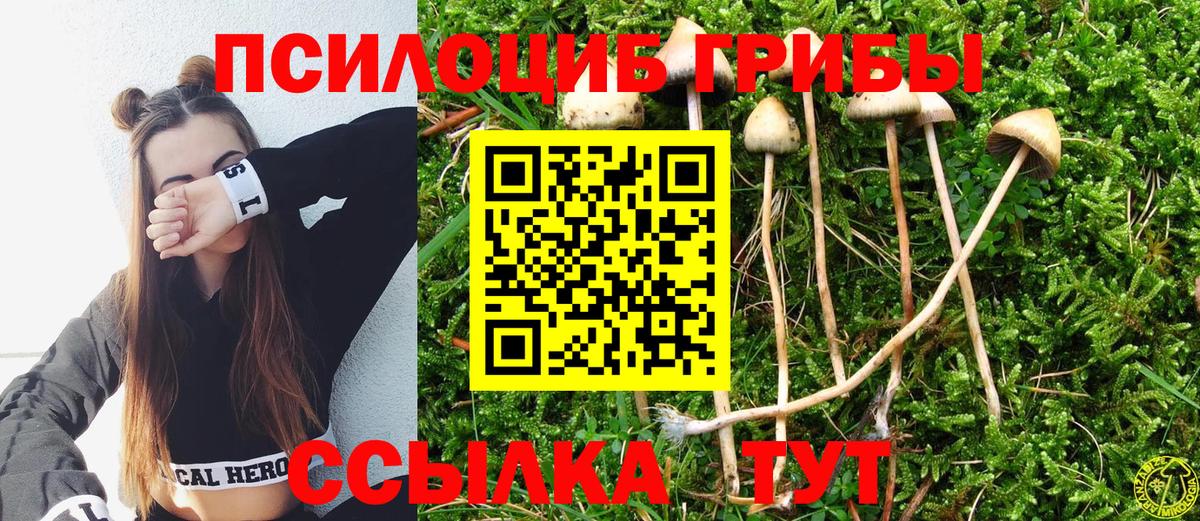 Псилоцибиновые грибы прущие грибы Дзержинск